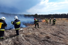 Pożar lasu w miejscowości Ewopole