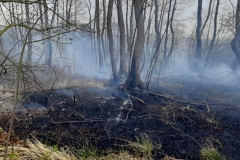 Pożar lasu w miejscowości Ewopole