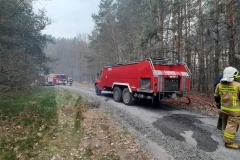 Pożar lasu w miejscowości Ewopole