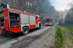 Pożar lasu w miejscowości Ewopole