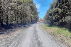 Pożar lasu i suchych traw na terenie gminy Trawniki