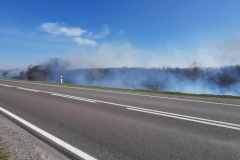 Pożar lasu i suchych traw na terenie gminy Trawniki