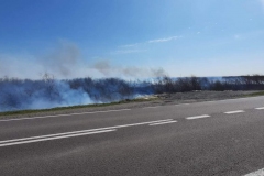 Pożar lasu i suchych traw na terenie gminy Trawniki
