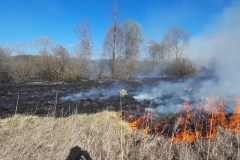 Pożar lasu i suchych traw na terenie gminy Trawniki