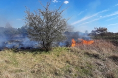 Pożar lasu i suchych traw na terenie gminy Trawniki