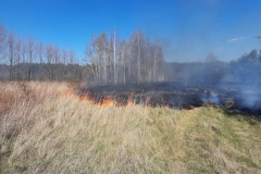 Pożar lasu i suchych traw na terenie gminy Trawniki