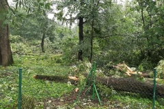 Straty po przejściu nawałnicy przez powiat świdnicki