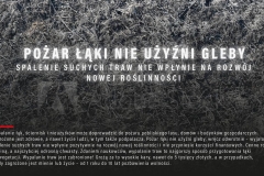 Stop pożarom traw - plakaty promujące akcję