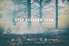 Stop pożarom traw - plakaty promujące akcję
