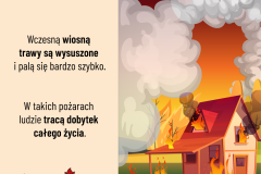 Trawy10-1080x1080-