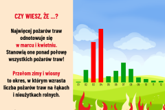 Trawy3-1080x1080