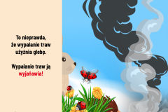 Trawy6-1080x1080