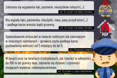 Trawy7-1080x1080